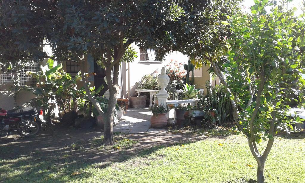 Riverlodge Backpackers Cape Town Dış mekan fotoğraf